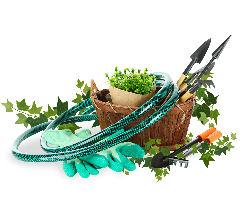 Сад и огород